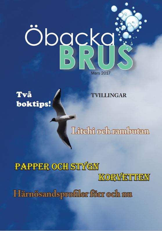 ÖbackaBrus001